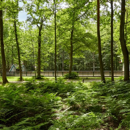 Espace vert
